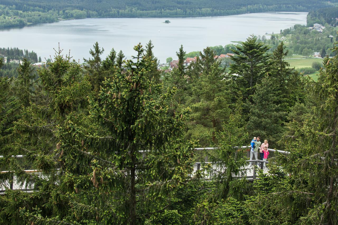 Apartman Lipno 50/18 Lipno nad Vltavou Εξωτερικό φωτογραφία